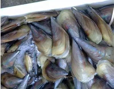 通報！惠州市食藥監局抽檢75批次食品，這些被查出不合格！豆及薯類